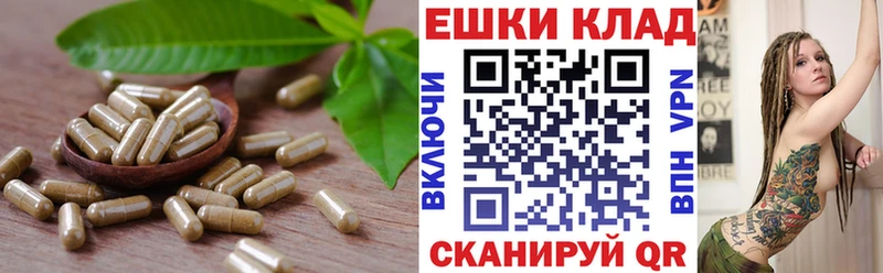 Ecstasy круглые  сколько стоит  Снежинск 