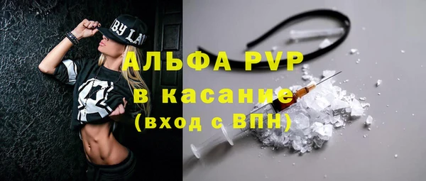 стаф Вяземский