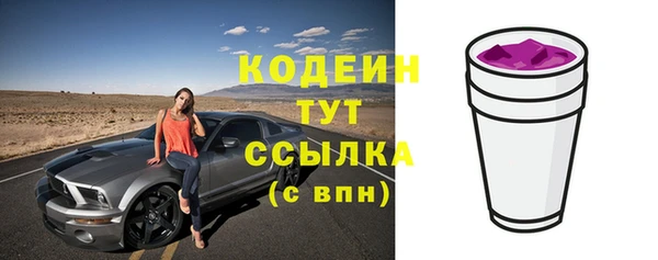 стаф Вяземский