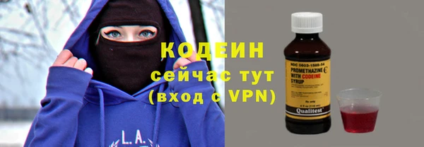 стаф Вяземский