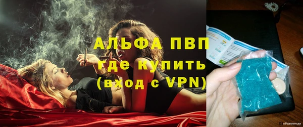 стаф Вяземский