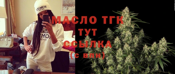 стаф Вяземский