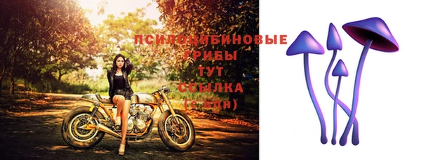jwh Туринск