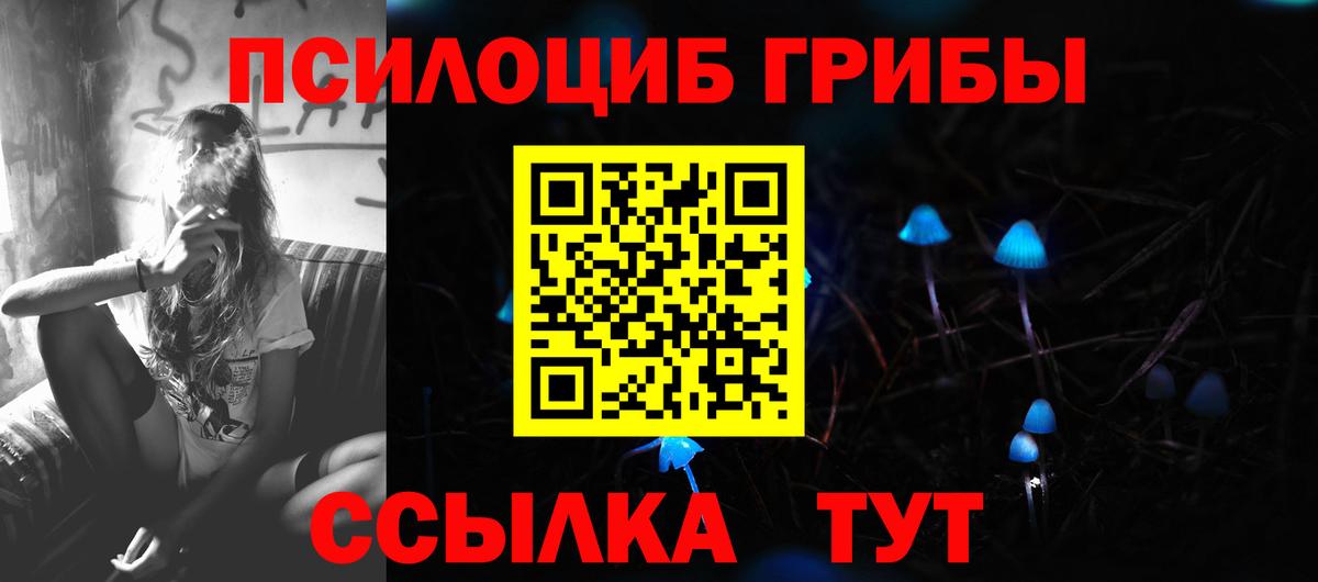 Псилоцибиновые грибы мицелий Снежинск